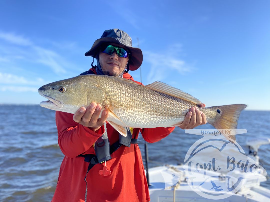 Large photo dump from an awesome trophy redfish season! So many personal best broken and memories made! Now booking 2022 dates!