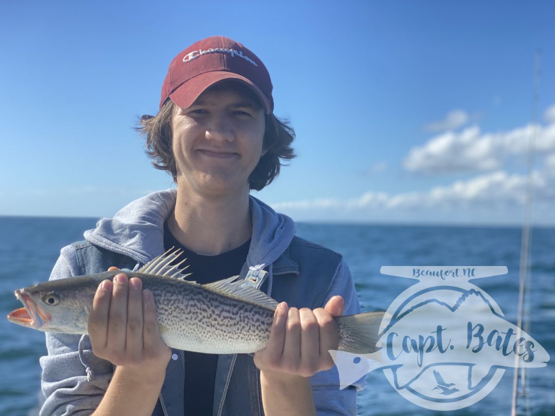 Wrapped up my Albie season with an excellent day and a great family! Mr Will said he wanted to introduce his sons to screaming drag, well we did that for almost 2 hours straight first thing and then a lot more. Blind casting on top, jigging marks, and baitball blitzes kept us busy untill the tide slacked out, with a few really solid fish mixed in. Then we jigged some nice graytrout, spanish and a few more albies before sending them home happy and tired!