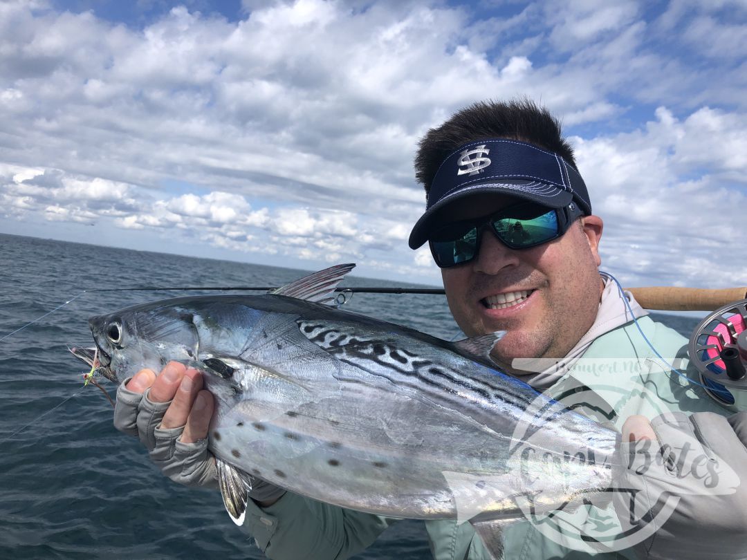 Nick and Greg got to see some of the best action we’ve had albie fishing around Cape Lookout all year! 

Fish were on baitballs and eating well! 

Nick caught his first albies ever! And Greg got his first ones ever on the fly rod!

I love seeing the excitement anglers show when they witness the mayhem this fish create when they are feeding good! This fishing never gets old to me and still get wound up seeing guys connect!