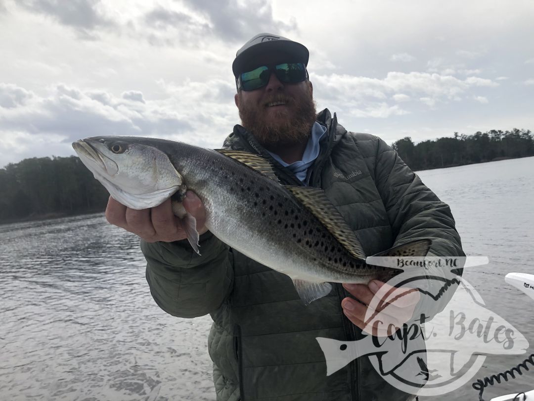 Fished with my good friend Will today and we had an absolutely incredible day with huge numbers of big trout! We caught them on almost everything in the boat, in closing topwater and fly rods! February and March fishing is severely underrated! 