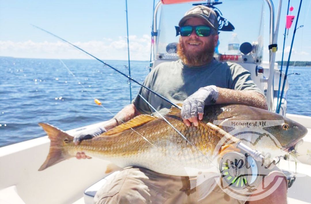 The captain gets to fish sometimes! 48” redfish on a fly rod! Neuse River NC