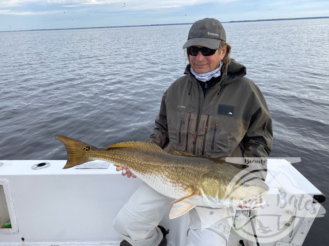 Great couple days with these guys targeting old drum, started out tough first day until we got them dialed in, then landed so many we started releasing them boat side with out even taking them out of the water, I love it!