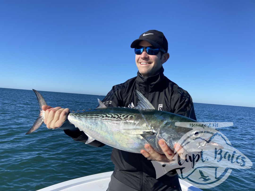 False albacore fishing remains great most days! Also seeing excellent Spanish mackerel fishing!