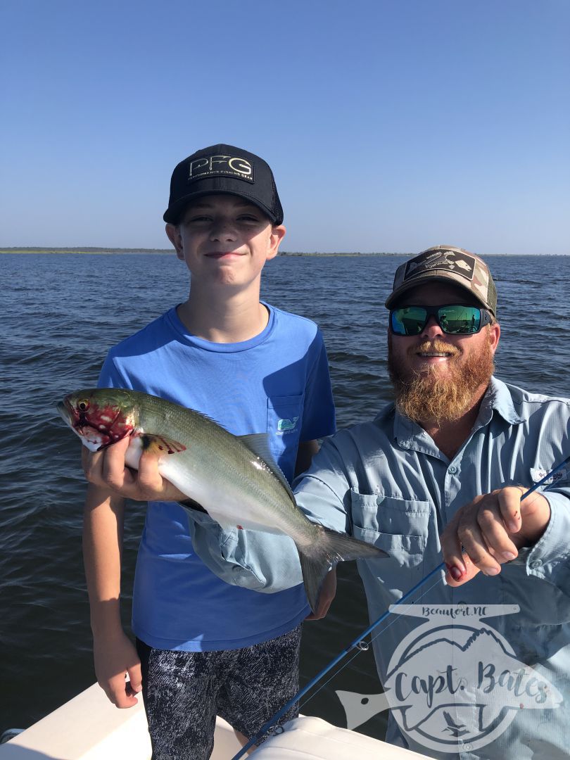 Perfect size bluefish to give kids a good fight and a lot of live action!