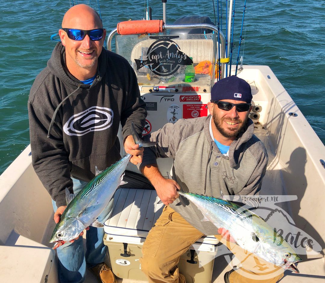 Chasing albies on a beautiful October morning at Cape Lookout, with repeat clients! Lots of fish around already, this fall is shaping up to be an awesome season!

Lots of scattered fish on small bait early made things challenging, but we found some fish feeding on bigger bait that were destroying any lures we through to them!

The absolute excitement of casting to busting albies and hearing that drag scream, while feeling their power brings anglers from all over the world to Cape Lookout year after year!