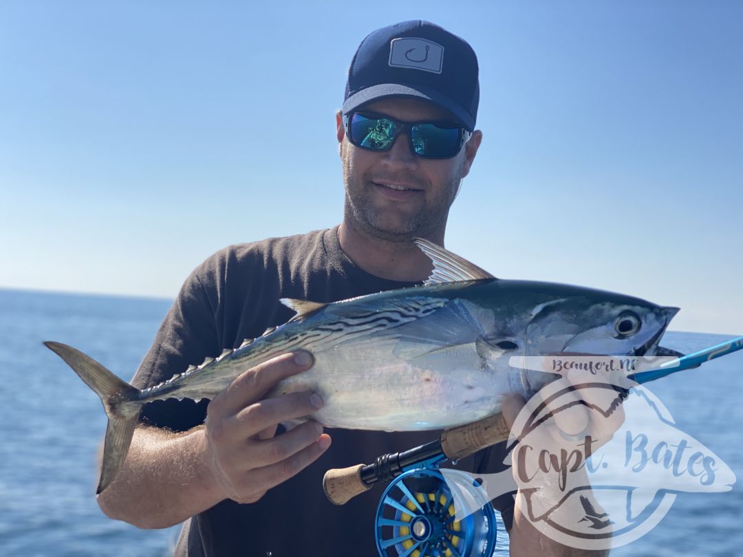 After being taunted by these unicorns for a week!  Finally, today one of my guys was able to put the @templeforkoutfitters inshore medium to the test! Seen a few bust in the albies and had textbook marks, then watched this guy eat a soft plastic 30’ from boat. Few other misses, but a citation blackfin on trout gear and #albiesnaxx in addition to first albies on the fly for these guys turned a slow morning into an incredible afternoon! Picked away at a few fish all morning then found the blitzes we were looking for! Ryan Hurd
#blackfin #blackfintuna #albies #falsealbacore #albies #lighttackle #flyfishing #flyfishingaddict #fishingaddiction #flyfishingadventures #flyfishingjunky #atlanticbeachnc Temple Fork Outfitters