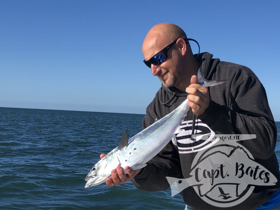 Chasing albies on a beautiful October morning at Cape Lookout, with repeat clients! Lots of fish around already, this fall is shaping up to be an awesome season!

Lots of scattered fish on small bait early made things challenging, but we found some fish feeding on bigger bait that were destroying any lures we through to them!

The absolute excitement of casting to busting albies and hearing that drag scream, while feeling their power brings anglers from all over the world to Cape Lookout year after year!