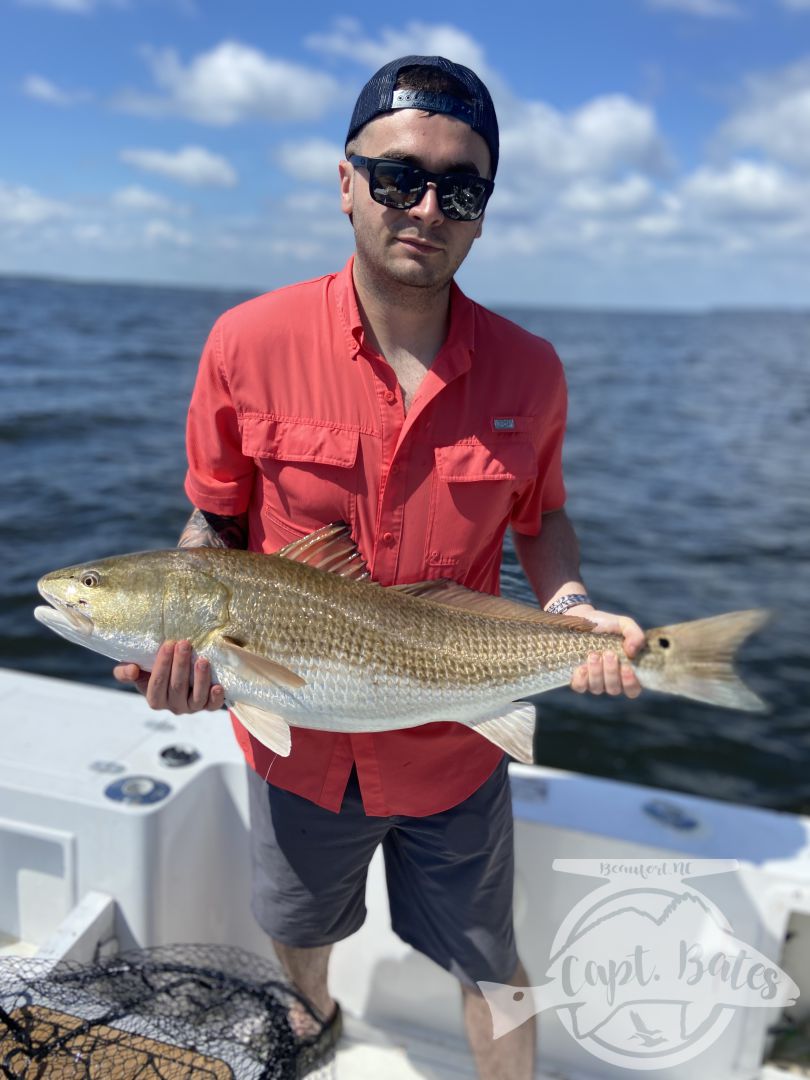 Another hero shot dump from Trophy drum season! Booking August -September 2022 trophy redfish season now!