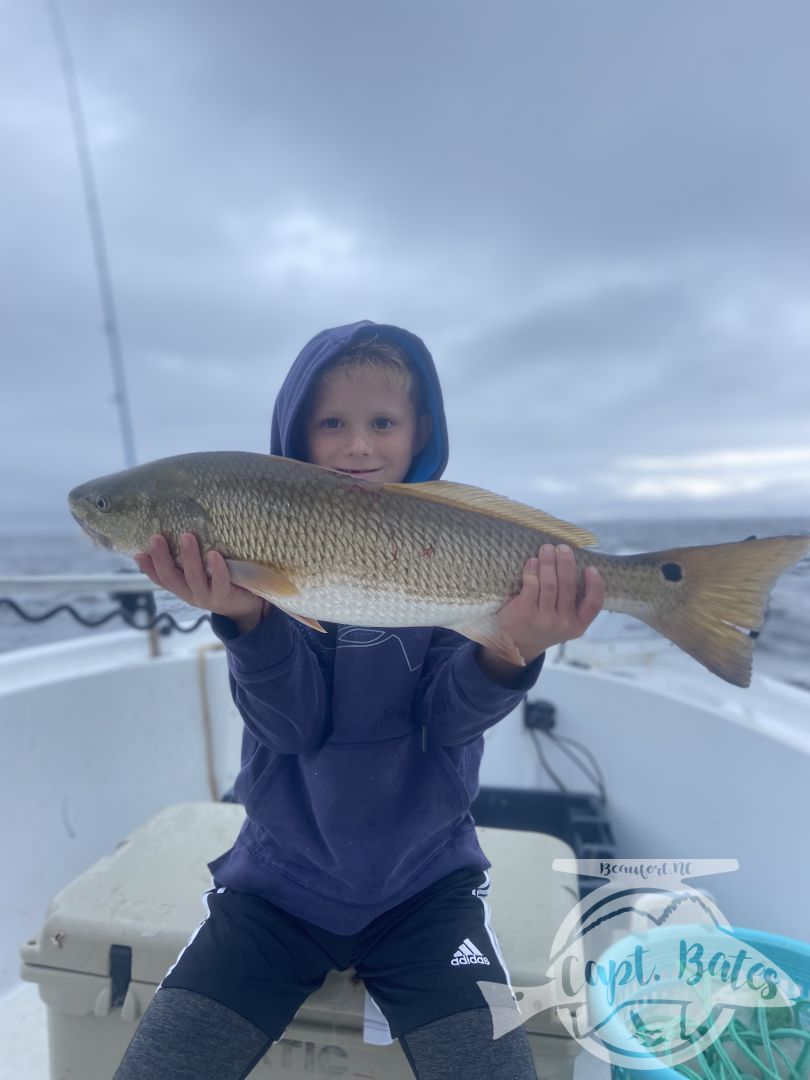 Slot redfishing has remained awesome throughout the summer till now! It’s a great back up plan for trophy drum season as well as Albie season!