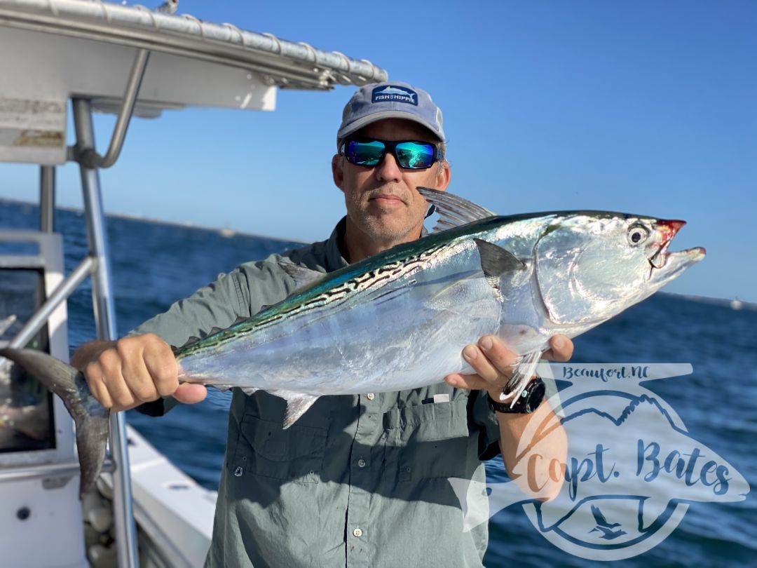 Wrapped up my Albie season with an excellent day and a great family! Mr Will said he wanted to introduce his sons to screaming drag, well we did that for almost 2 hours straight first thing and then a lot more. Blind casting on top, jigging marks, and baitball blitzes kept us busy untill the tide slacked out, with a few really solid fish mixed in. Then we jigged some nice graytrout, spanish and a few more albies before sending them home happy and tired!