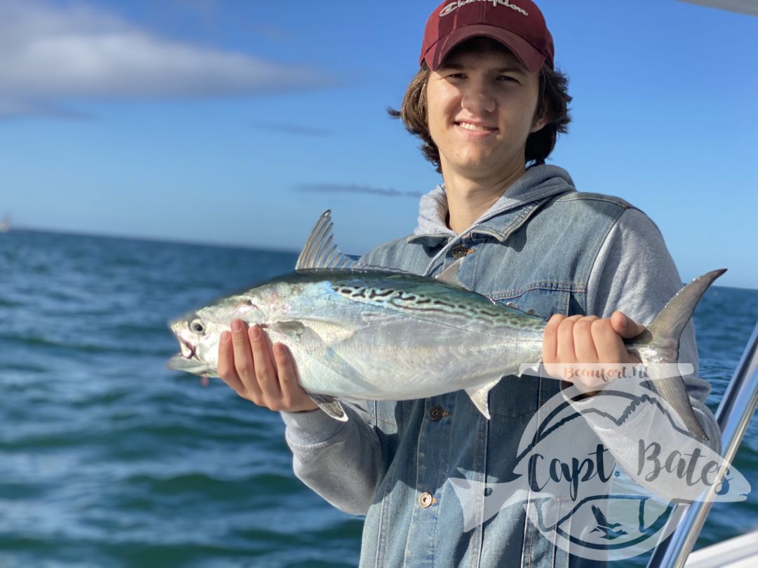 Wrapped up my Albie season with an excellent day and a great family! Mr Will said he wanted to introduce his sons to screaming drag, well we did that for almost 2 hours straight first thing and then a lot more. Blind casting on top, jigging marks, and baitball blitzes kept us busy untill the tide slacked out, with a few really solid fish mixed in. Then we jigged some nice graytrout, spanish and a few more albies before sending them home happy and tired!