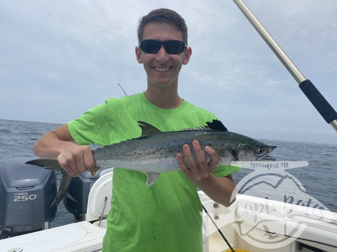 Hosted a repeat group from Ohio, boated a few spanish mackerels just under 5lbs, several species of sharks including two hammerheads, these young boys live battling the toothy critters!