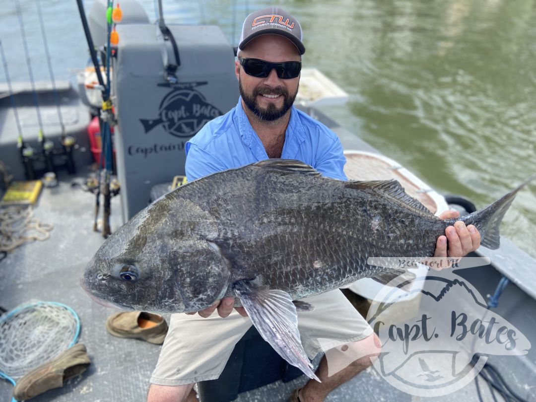 Been some really solid fishing lately with many citation fish! Sheep’s head and big Spanish mackerel with some big black drum as well!