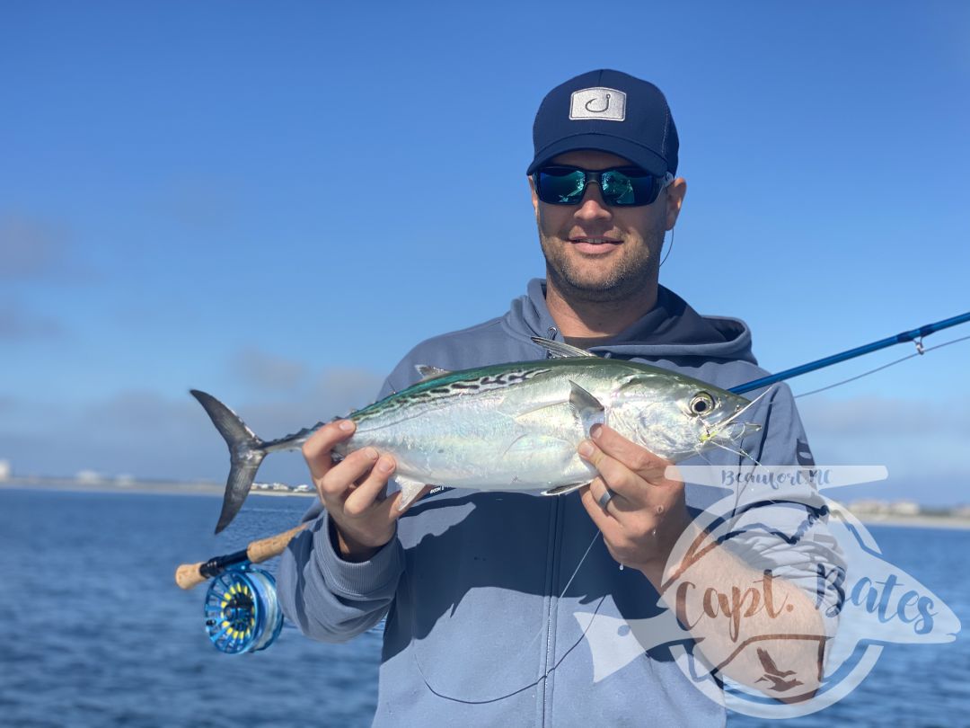 After being taunted by these unicorns for a week!  Finally, today one of my guys was able to put the @templeforkoutfitters inshore medium to the test! Seen a few bust in the albies and had textbook marks, then watched this guy eat a soft plastic 30’ from boat. Few other misses, but a citation blackfin on trout gear and #albiesnaxx in addition to first albies on the fly for these guys turned a slow morning into an incredible afternoon! Picked away at a few fish all morning then found the blitzes we were looking for! Ryan Hurd
#blackfin #blackfintuna #albies #falsealbacore #albies #lighttackle #flyfishing #flyfishingaddict #fishingaddiction #flyfishingadventures #flyfishingjunky #atlanticbeachnc Temple Fork Outfitters