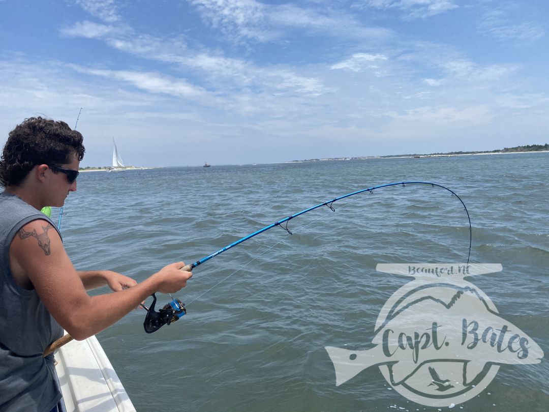 Hosted a repeat group from Ohio, boated a few spanish mackerels just under 5lbs, several species of sharks including two hammerheads, these young boys live battling the toothy critters!