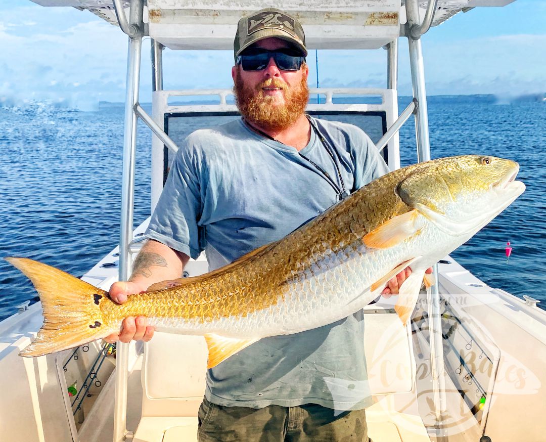 We officially kicked off our trophy drum season today! As they have finally shown up in good numbers, slightly delayed start this year but fortunately, the trout and puppy drum fish has been dynamite to hold us over, but it’s now time for the main event! Killer day with my main man Buddy, double digit landed multiple missed opportunities and even had on try to eat the popping cork! World class Neuse river redfishing at its finest!