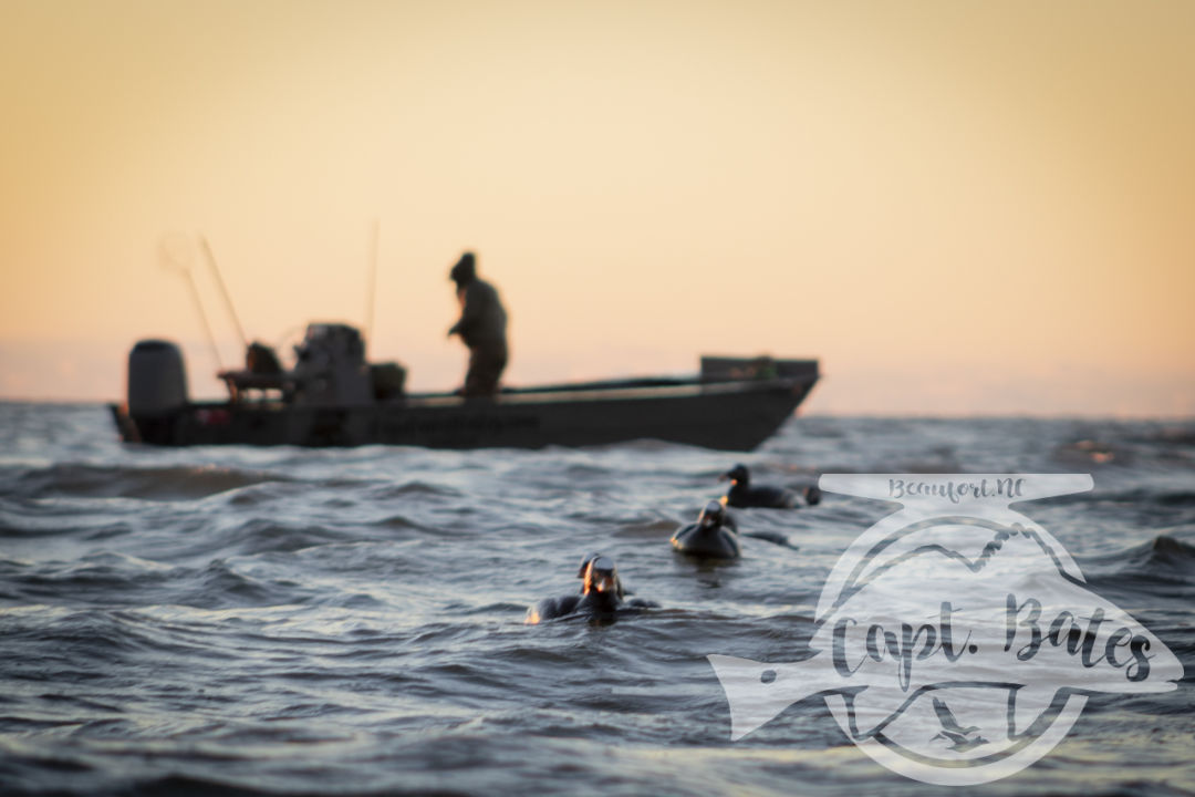 Capped the season off with my favorite youth hunter and 2 of my best Veteran buddies... all three got a trophy for wall, killing their first surf scoter drake(s). I got to spend some time in the layout, couldn’t have asked for a better way to wrap up our season. Patrick Poindexter got some great video and pictures of Jason Tucker, us and the birds! Thanks guys!! Let’s go fishing!