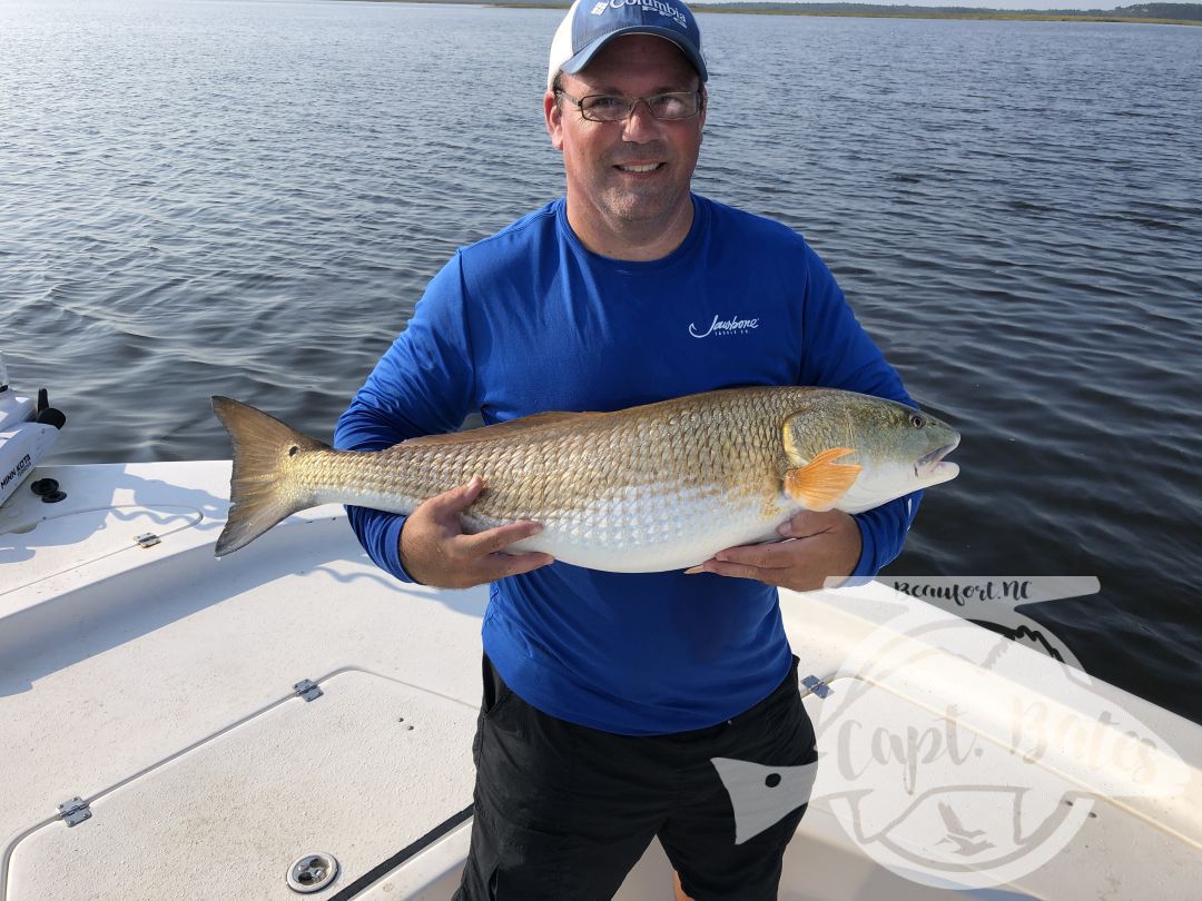 Had two awesome guys from Jersey, that listened well and were a lot of fun to have on the boat today. We worked some scattered bait, stuck with it and it paid off! Caught a bunch, lost a few, thats the way it goes sometimes! They were first time corkers and picked up on the technique quickly, things are quickly getting back to normal after Dorian! 