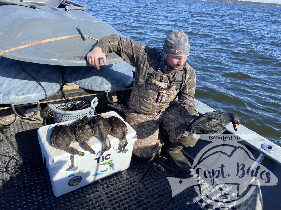 The November layout hunts started out with a lot of bangs! Everyday had limits (or close and plenty of opportunities for limits) as usual the perfect weather days were far and few between, lots of high winds and slick cam days but we worked with what we could and adjusted. Early season in our area always brings lots of hens and immature birds, this year the percentage was even more skewed but it sure makes for fun shooting when there isn’t much else around. I still have a few open days in January!