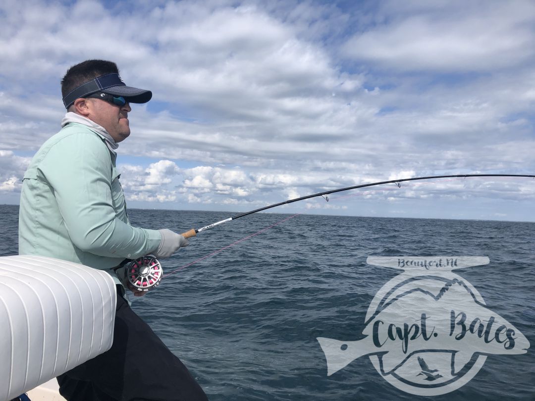 Nick and Greg got to see some of the best action we’ve had albie fishing around Cape Lookout all year! 

Fish were on baitballs and eating well! 

Nick caught his first albies ever! And Greg got his first ones ever on the fly rod!

I love seeing the excitement anglers show when they witness the mayhem this fish create when they are feeding good! This fishing never gets old to me and still get wound up seeing guys connect!