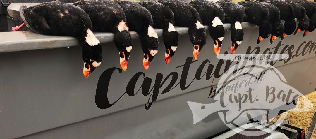 Ended the last two days of the split with some awesome shooting and some trophy birds for wall! Good company and good shooters!

The Skunkheads are here!!

I have some availability for the sea duck season, give me a call to discuss options. It can be very weather dependent, but can be a great time to get your trophy scoters! 252-497-6981. Captainbates.com
Core Sound Layout Boats Southern Flyway Outfitters