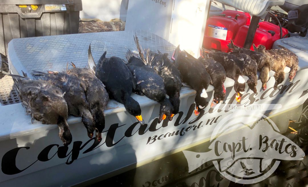 A beautiful morning in the layouts for 3 repeat clients that hunt and fish with me several times a year. first time any of them have been in the layouts and they killed it! Solid limits of sea ducks, plus a bonus, surfs made a good showing today!

Mr Ed, wasn’t too sure about the layout till he got in and seen how comfortable they are! They had so much fun they made the unanimous decision, to do it again tomorrow instead of hunting out the boat blind!  

Check out captainbates.com for availability!
