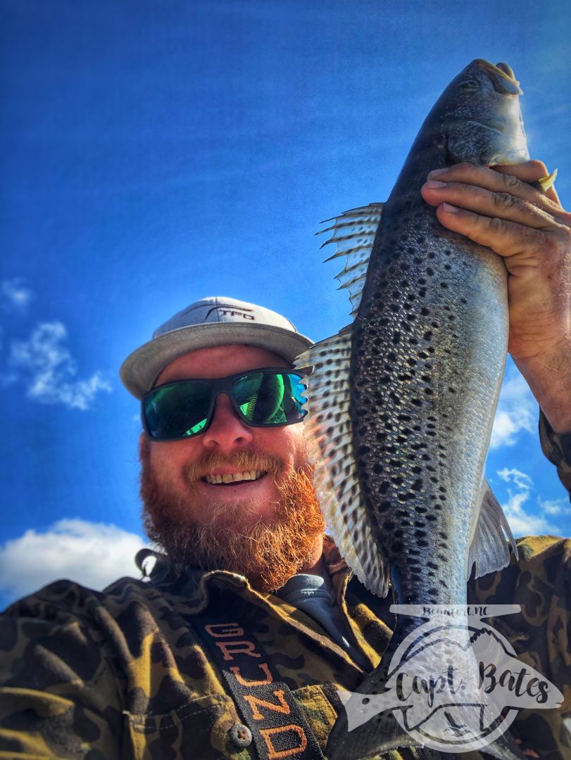 Solo scouting trip paid off with some big speckled trout, well not solo, had my 4 legged mate Roxy along. She might love trout fishing as much as I do! 

Little warmer and cloudy early made throwing topwater feel right, working the bait a little slower and it worked! Many fish over 21”!