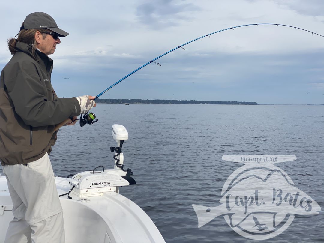 Great couple days with these guys targeting old drum, started out tough first day until we got them dialed in, then landed so many we started releasing them boat side with out even taking them out of the water, I love it!