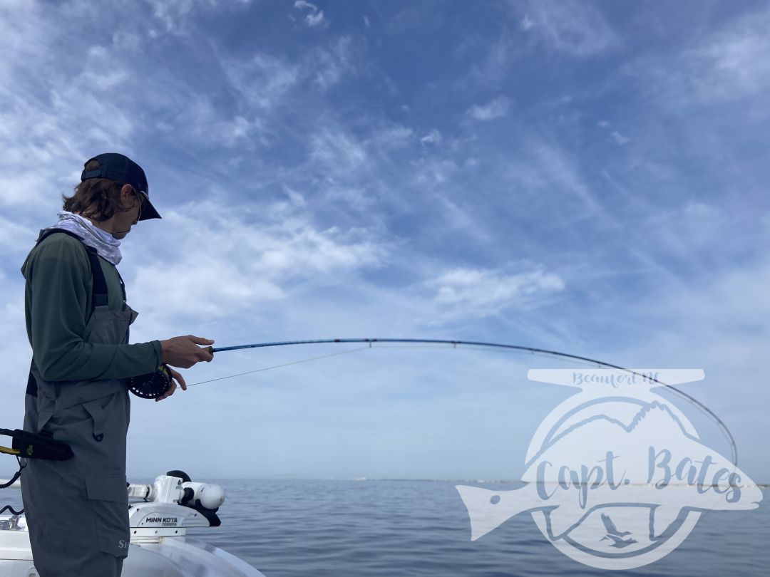 Had a great time showing a fly guy from the Adirondacks some new species and what NC has to offer! Started out slow early but stayed the course and got on a pretty decent Atlantic Bonito sight casting bite. After a handful of good fly eats my man was finally able to check that one off his list. We played with them for a while before deciding to take a ride.

I laid out a few options for him and he said “I just want something that pulls hard” so off to the trawlers we went! He was stoked just to witness the mayhem, after a few nasty eats it was time for battle! 
 
Stopped on the way in and played with some blitzing blues on poppers!

Perfect April day in our neck of the woods!