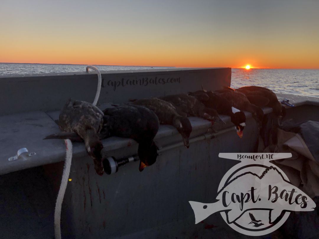 I love carrying guys that have never had the layout boat or sea duck hunting experience before. The excitement they get from the in your face action is awesome to see!

These young bucks shooting was on point and got their limits early. Birds continued to fly good even as we picked up the decoys. What a beautiful day on the water!