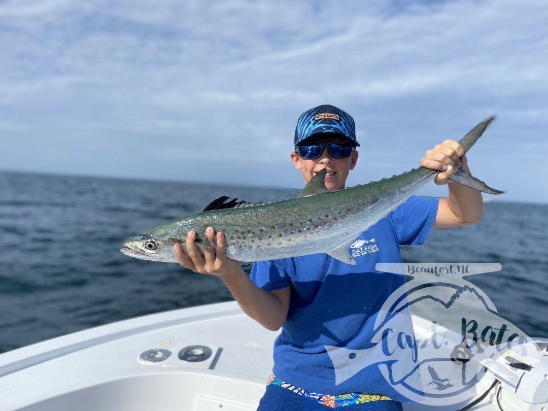 Been some really solid fishing lately with many citation fish! Sheep’s head and big Spanish mackerel with some big black drum as well!