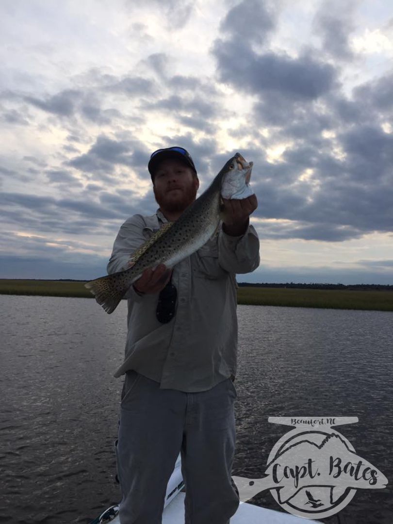 Healthy early fall topwater speckled trout!