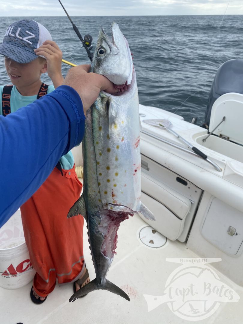 My charter for the day rescheduled, so after Buddy and I got our work done we decided to slip out in the light rain and light winds and look for some big mackerels. We pulled hooks on a couple more big spanish and a nice king. But he was able to land his first citation spanish at 6.82# and another that would have been close to 6lbs but a shark got part of him on the way in. Great day!