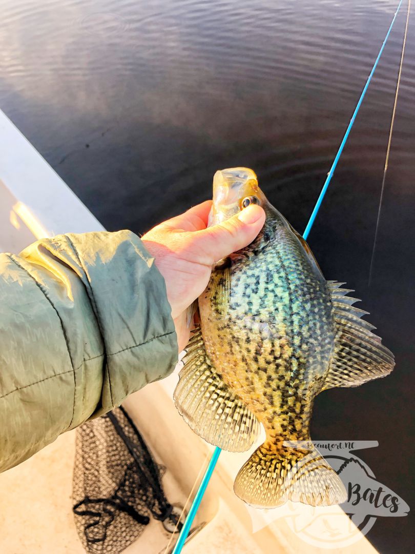 Mixed bag in post cold front conditions, I love teaching anglers a new technique they’ve never fished before and seeing them build confidence in it throughout the day!