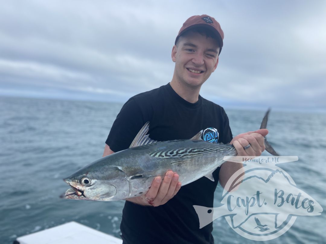 My Albie season has started out strong already! Anglers from across the country are getting to feel the chaos and incredible speed and power from these fish on fly rods and spinning tackle! Oh so much fun!