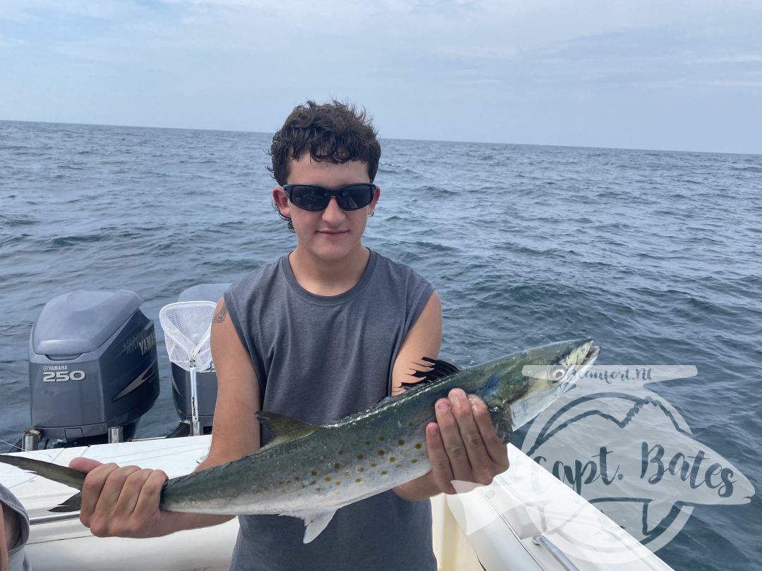 Hosted a repeat group from Ohio, boated a few spanish mackerels just under 5lbs, several species of sharks including two hammerheads, these young boys live battling the toothy critters!