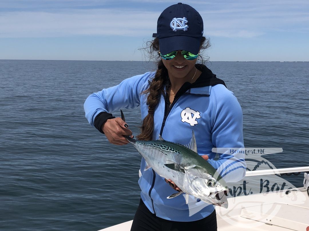 March Madness! False Albacore and basketball! UNC won that do too!