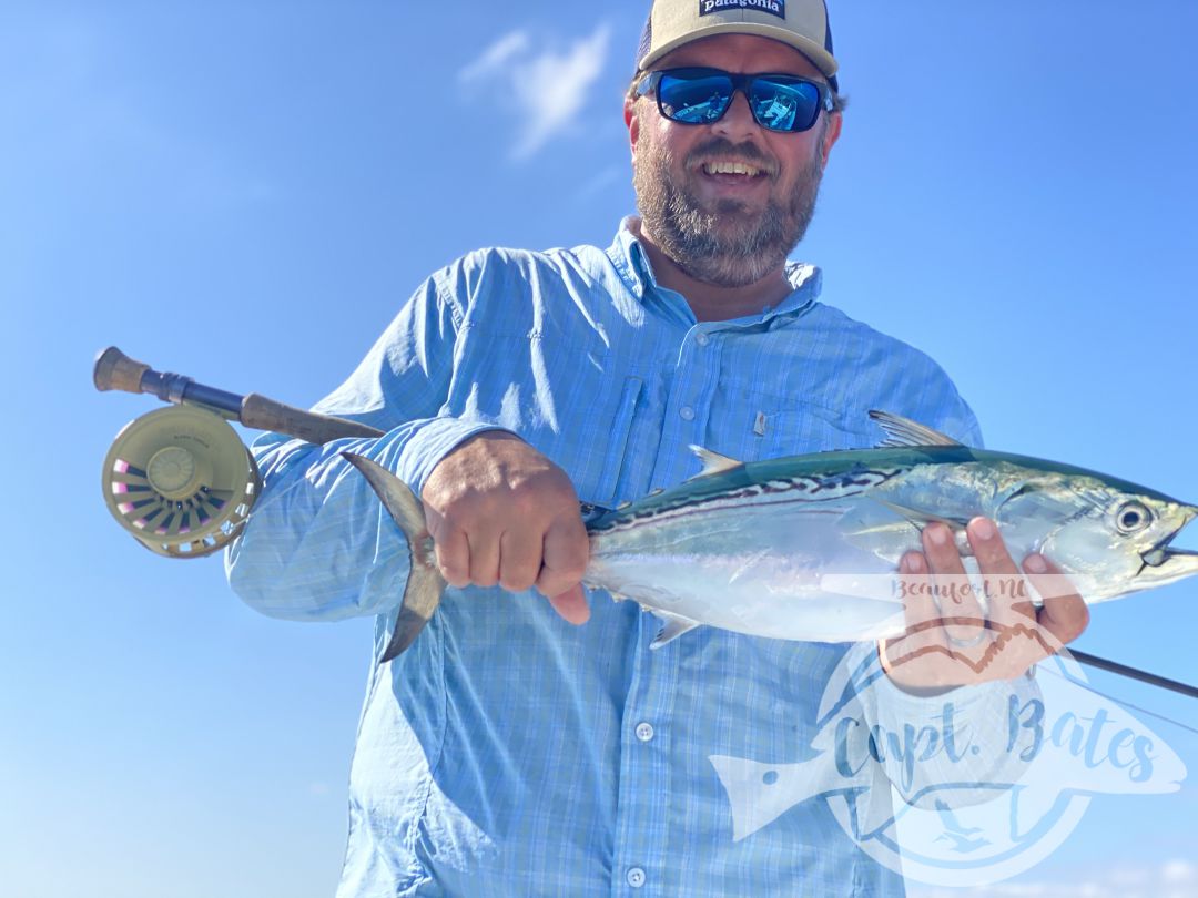 After being taunted by these unicorns for a week!  Finally, today one of my guys was able to put the @templeforkoutfitters inshore medium to the test! Seen a few bust in the albies and had textbook marks, then watched this guy eat a soft plastic 30’ from boat. Few other misses, but a citation blackfin on trout gear and #albiesnaxx in addition to first albies on the fly for these guys turned a slow morning into an incredible afternoon! Picked away at a few fish all morning then found the blitzes we were looking for! Ryan Hurd
#blackfin #blackfintuna #albies #falsealbacore #albies #lighttackle #flyfishing #flyfishingaddict #fishingaddiction #flyfishingadventures #flyfishingjunky #atlanticbeachnc Temple Fork Outfitters