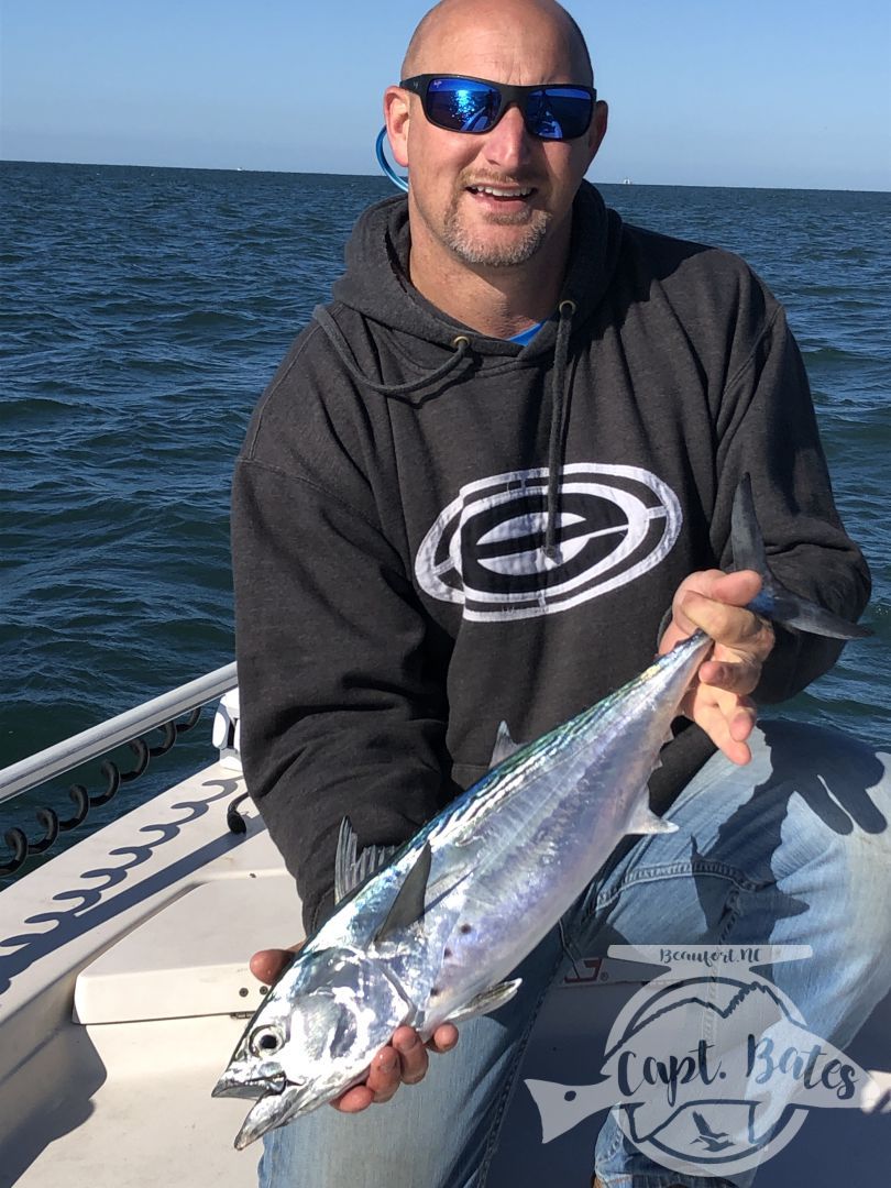 Chasing albies on a beautiful October morning at Cape Lookout, with repeat clients! Lots of fish around already, this fall is shaping up to be an awesome season!

Lots of scattered fish on small bait early made things challenging, but we found some fish feeding on bigger bait that were destroying any lures we through to them!

The absolute excitement of casting to busting albies and hearing that drag scream, while feeling their power brings anglers from all over the world to Cape Lookout year after year!