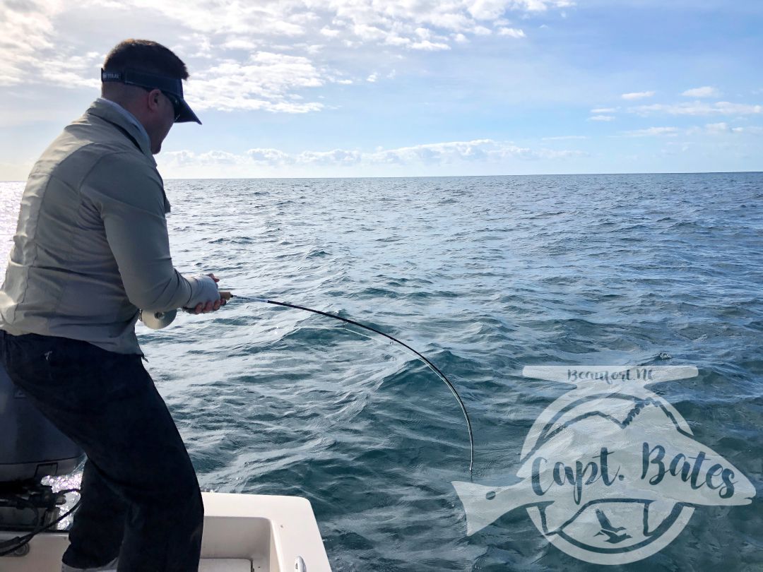 I was honored to be asked to take 2 national percipients of Project Healing waters Fly Fishing inc. fishing for 3 days during the Cape Lookout False albacore festival.

Nick is from Atlanta and Greg from Sleepy hollow NY. I couldn’t have asked for a couple better guys to have on the boat! We laughed, talked smack, and caught big fish until their arms hurt!

Albies were scarce Thursday, but the shrimp boats were out and the sharks were plentiful! Site casting to these sea monsters with heavy fly tackle is intense! Both guys landed sharks over 6’ and had lots of eats and hook ups!