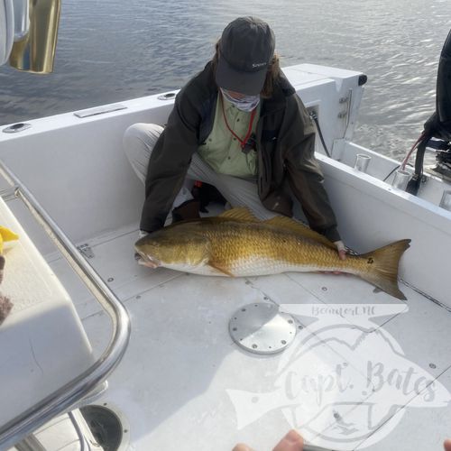 Great couple days with these guys targeting old drum, started out tough first day until we got them dialed in, then landed so many we started releasing them boat side with out even taking them out of the water, I love it!