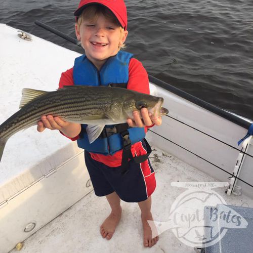 Topwater rockfishing (striped bass) is a great way to beat the summer heat late in the day!