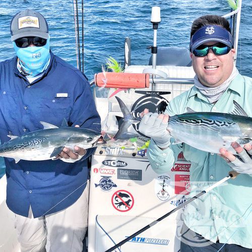 I was honored to be asked to take 2 national percipients of Project Healing waters Fly Fishing inc. fishing for 3 days during the Cape Lookout False albacore festival.

Nick is from Atlanta and Greg from Sleepy hollow NY. I couldn’t have asked for a couple better guys to have on the boat! We laughed, talked smack, and caught big fish until their arms hurt!

Albies were scarce Thursday, but the shrimp boats were out and the sharks were plentiful! Site casting to these sea monsters with heavy fly tackle is intense! Both guys landed sharks over 6’ and had lots of eats and hook ups!