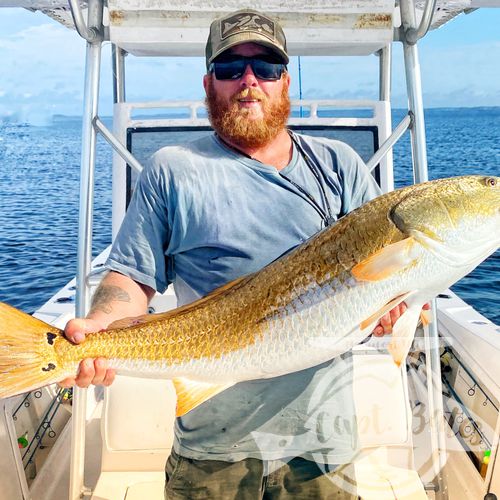 We officially kicked off our trophy drum season today! As they have finally shown up in good numbers, slightly delayed start this year but fortunately, the trout and puppy drum fish has been dynamite to hold us over, but it’s now time for the main event! Killer day with my main man Buddy, double digit landed multiple missed opportunities and even had on try to eat the popping cork! World class Neuse river redfishing at its finest!