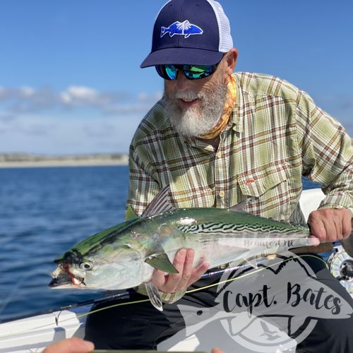 What a gorgeous October day on the ocean! Beautiful weather and my guys this morning gave me free rein so we had take advantage of the day and go #seewhatsoutthere Only had a 3/4 day cause these guys had to get home tonight so we couldn’t do anything super crazy.
.
But we found some kings fairly early, spent a little time trying to get a fly eat before moving on to finding the perfect fly size jacks! Man these things are fun to watch, aggravating sometimes but devastating when they decide to crush poppers!
.
Started hunting some more working our way home looking albies when I got the text that it was on fire and only couple miles the way we were heading. Thanks Joe Shute! Dynamite albie bite to wrap up the day with 2 super dudes!
Captainbates.com
Temple Fork Outfitters