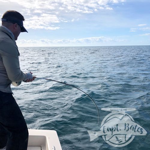 I was honored to be asked to take 2 national percipients of Project Healing waters Fly Fishing inc. fishing for 3 days during the Cape Lookout False albacore festival.

Nick is from Atlanta and Greg from Sleepy hollow NY. I couldn’t have asked for a couple better guys to have on the boat! We laughed, talked smack, and caught big fish until their arms hurt!

Albies were scarce Thursday, but the shrimp boats were out and the sharks were plentiful! Site casting to these sea monsters with heavy fly tackle is intense! Both guys landed sharks over 6’ and had lots of eats and hook ups!