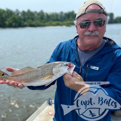 The last week has been full of Spanish mackerel, sharks, redfish and some fun size bluefish on topwater! 