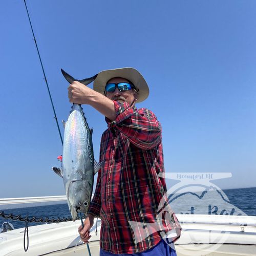 Not an easy day but found some target species, a few bonuses and all the bluefish you could want! Spring fishing is here! Nearshore exploring at its finest! Tons of laughs with a great repeat and his buddy, can’t wait till next time guys!