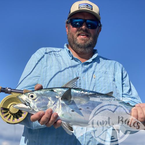 After being taunted by these unicorns for a week!  Finally, today one of my guys was able to put the @templeforkoutfitters inshore medium to the test! Seen a few bust in the albies and had textbook marks, then watched this guy eat a soft plastic 30’ from boat. Few other misses, but a citation blackfin on trout gear and #albiesnaxx in addition to first albies on the fly for these guys turned a slow morning into an incredible afternoon! Picked away at a few fish all morning then found the blitzes we were looking for! Ryan Hurd
#blackfin #blackfintuna #albies #falsealbacore #albies #lighttackle #flyfishing #flyfishingaddict #fishingaddiction #flyfishingadventures #flyfishingjunky #atlanticbeachnc Temple Fork Outfitters