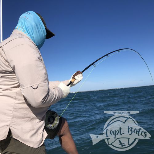 I was honored to be asked to take 2 national percipients of Project Healing waters Fly Fishing inc. fishing for 3 days during the Cape Lookout False albacore festival.

Nick is from Atlanta and Greg from Sleepy hollow NY. I couldn’t have asked for a couple better guys to have on the boat! We laughed, talked smack, and caught big fish until their arms hurt!

Albies were scarce Thursday, but the shrimp boats were out and the sharks were plentiful! Site casting to these sea monsters with heavy fly tackle is intense! Both guys landed sharks over 6’ and had lots of eats and hook ups!